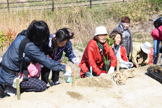 映画「君の笑顔に会いたくて」